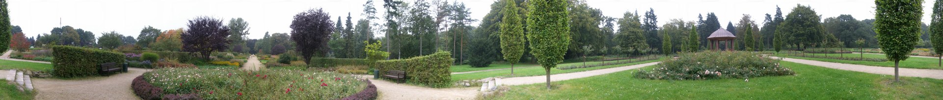 Archivmotiv